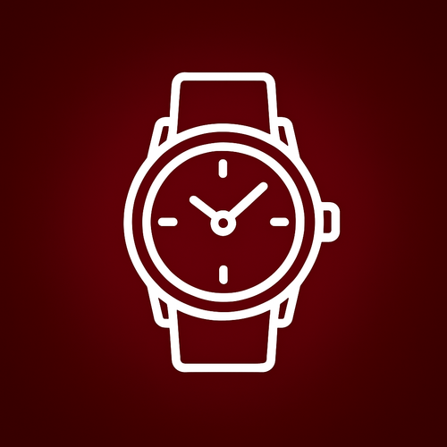 LUXURY WATCH WHOLESALER